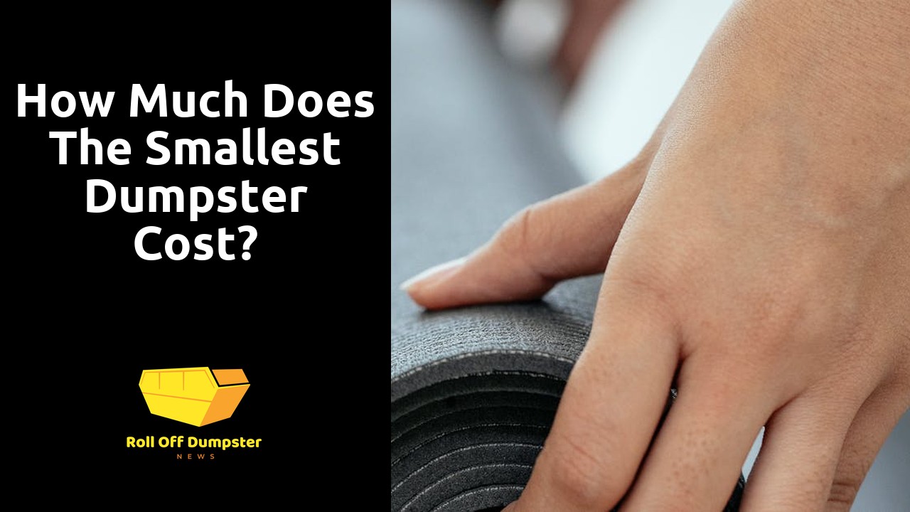 How much does the smallest dumpster cost?